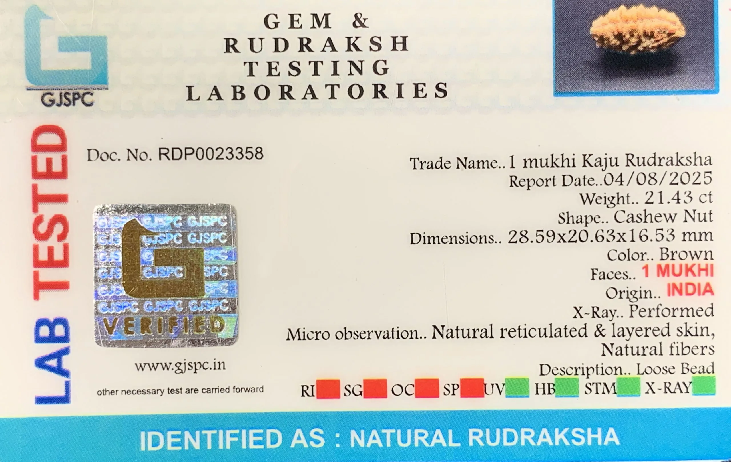 1 Mukhi Rudraksha (4.286g) view 2