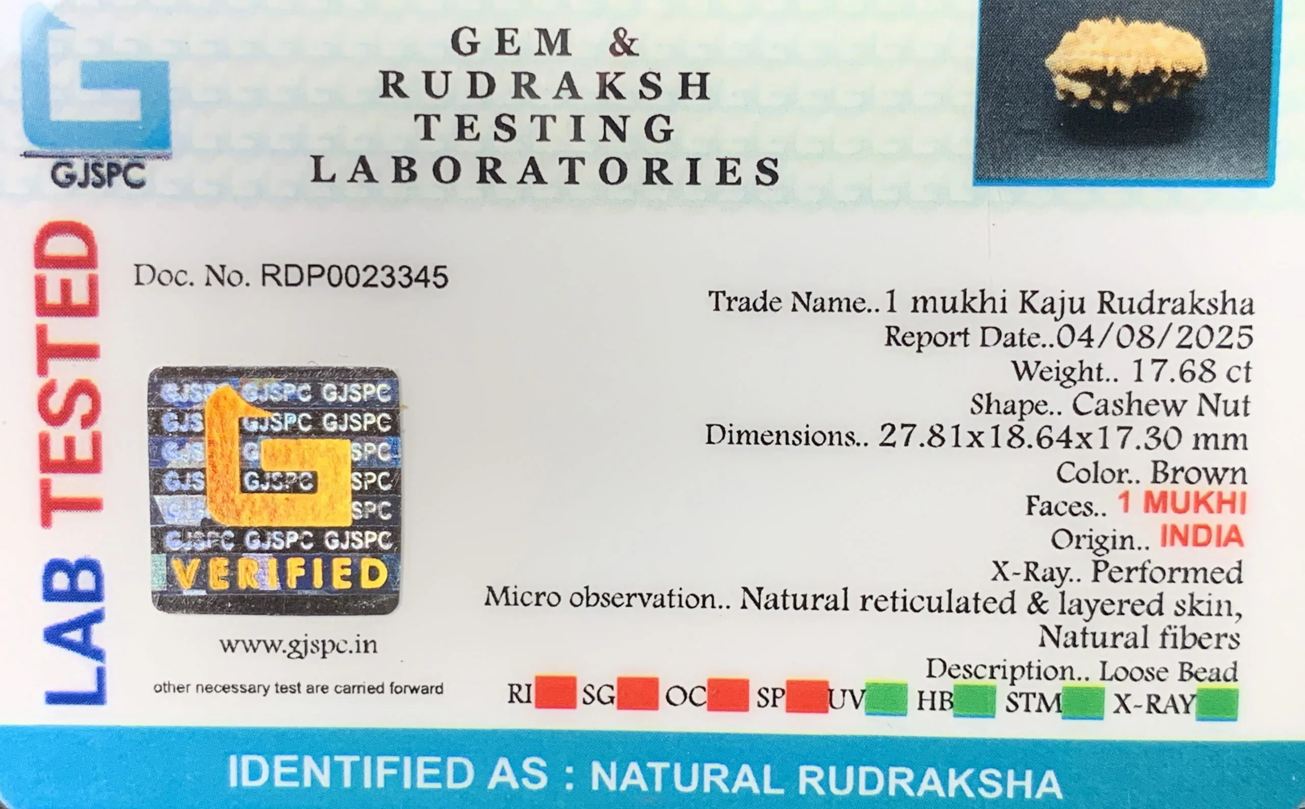 1 Mukhi Rudraksha (3.536g) view 2