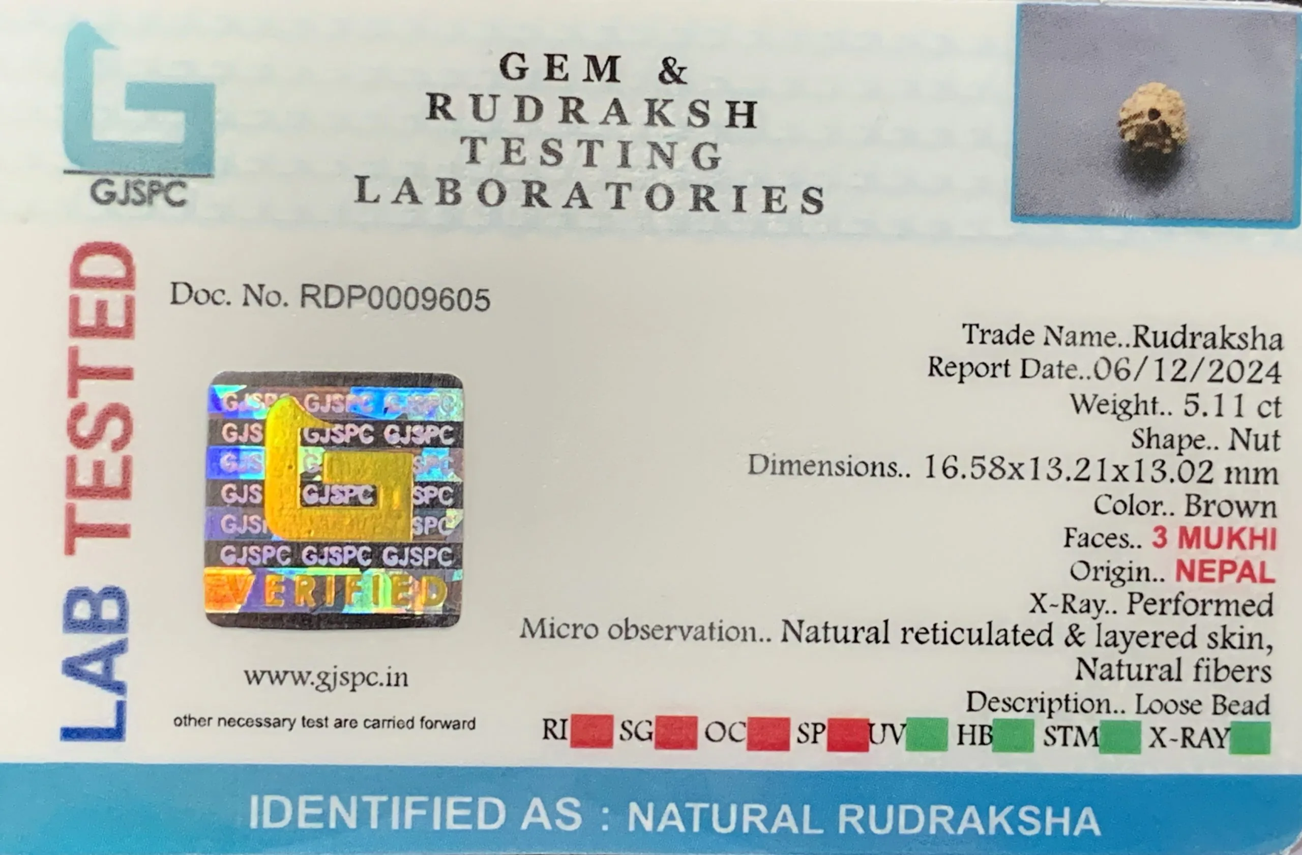 3 MUKHI Rudraksha (1.022g) view 2