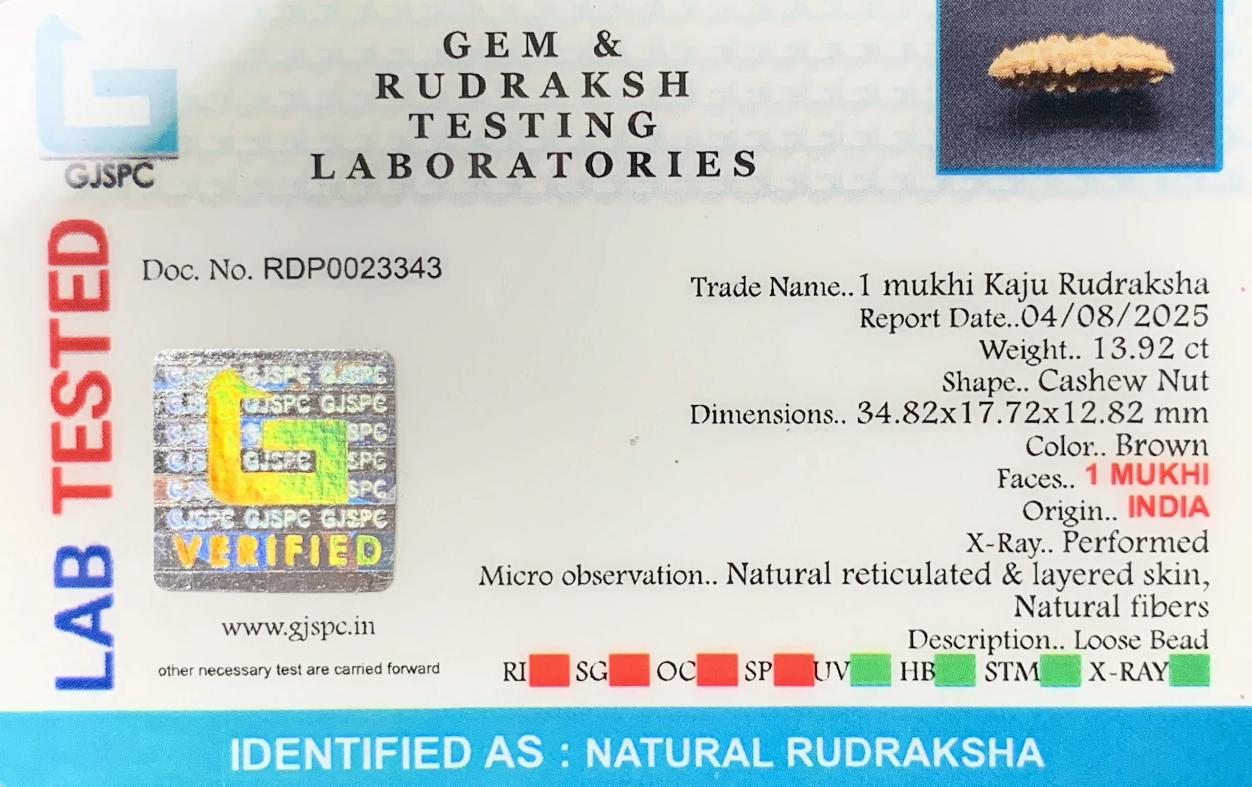 1 Mukhi Rudraksha (2.784g) view 2