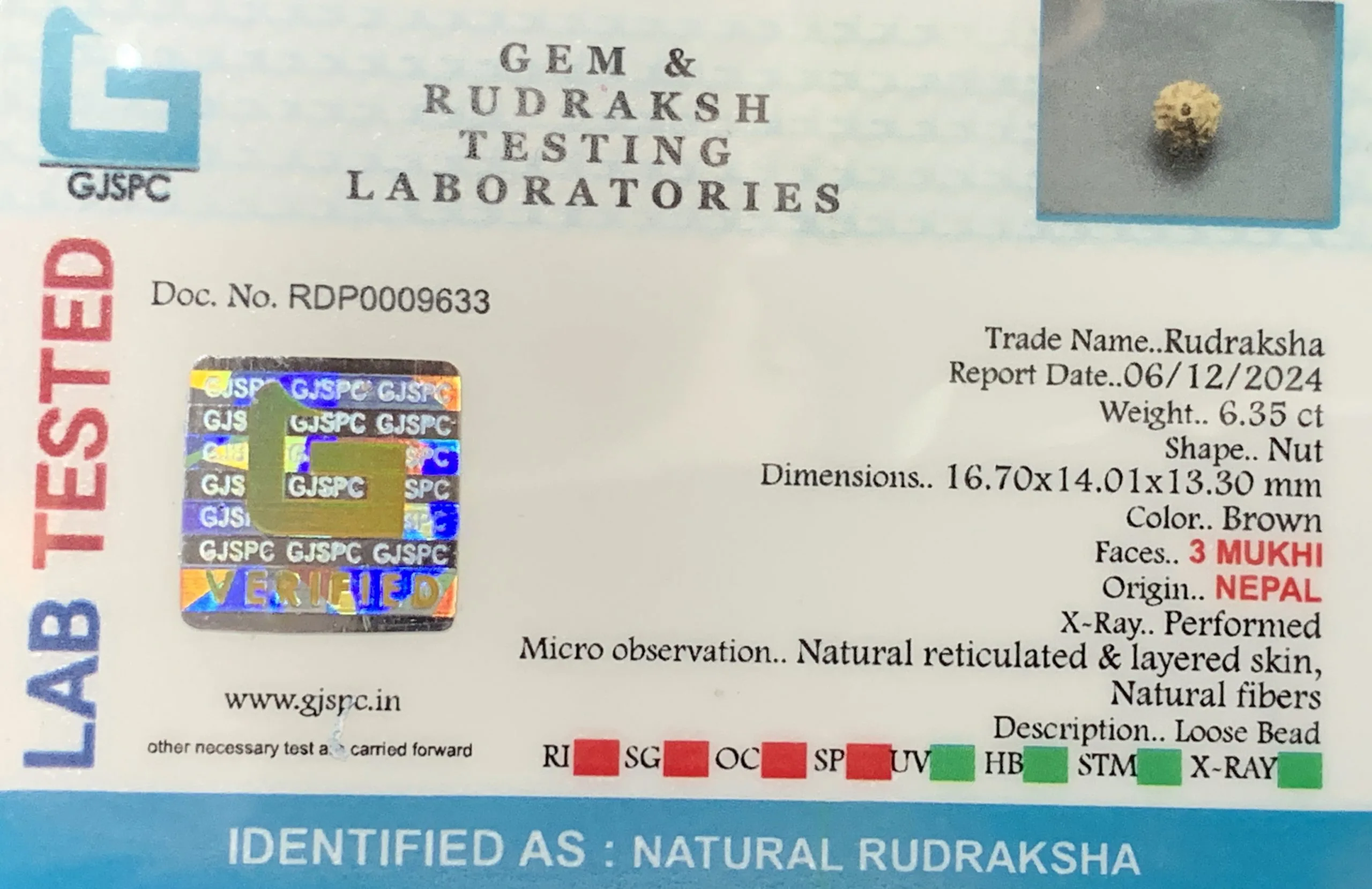 3 MUKHI Rudraksha (1.270g) view 2