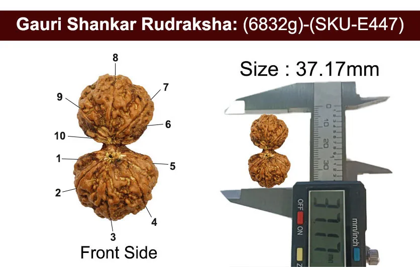 Gauri Shankar (6.832g) view 3