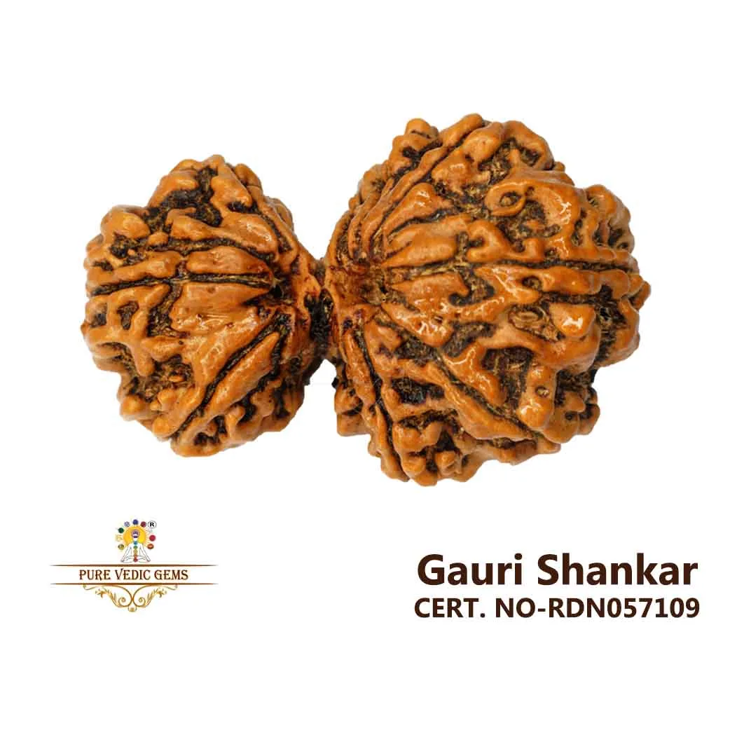 Gauri Shankar (8.262g)