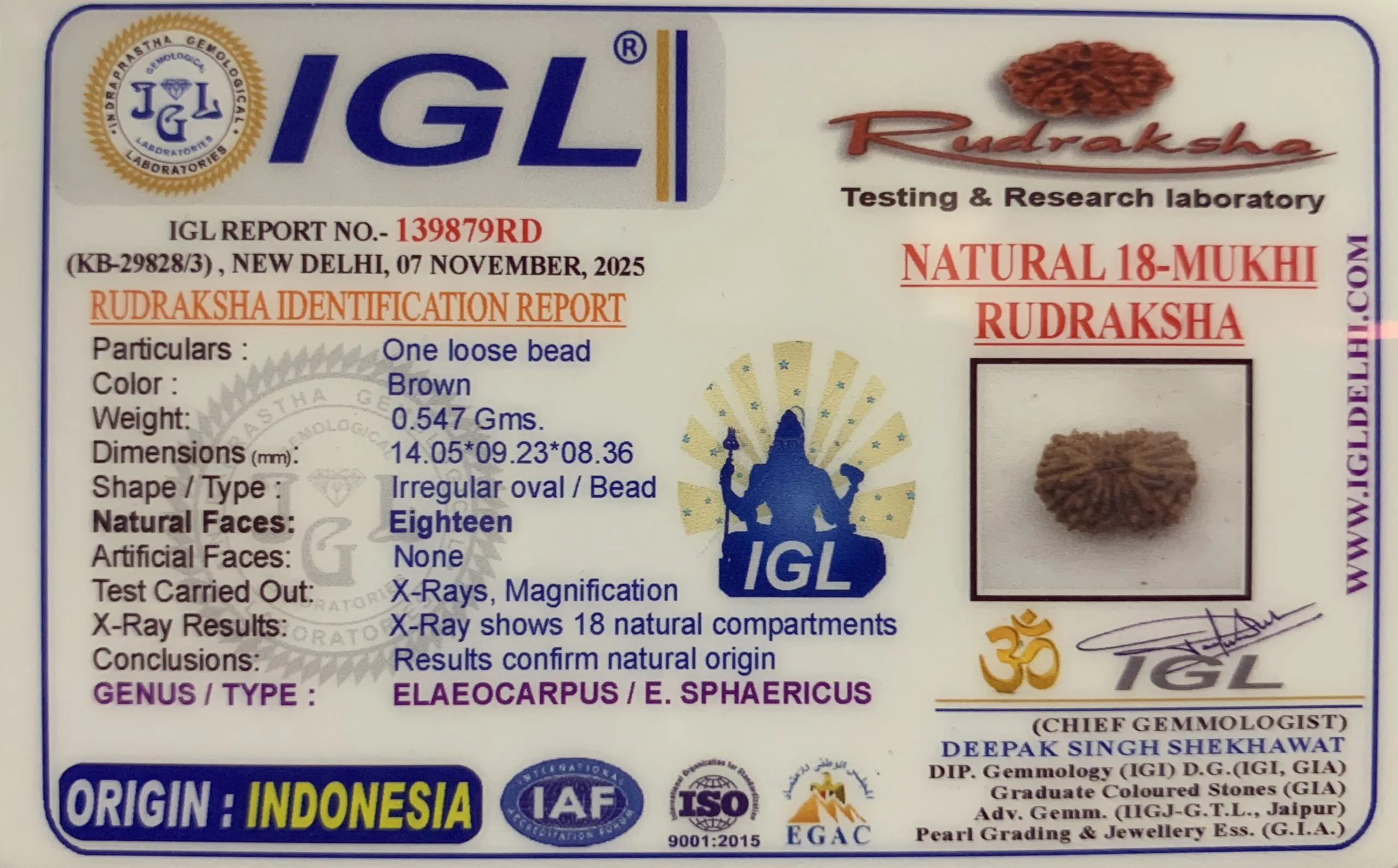 18Mukhi Rudraksha (0.547mg) On Demand view 2