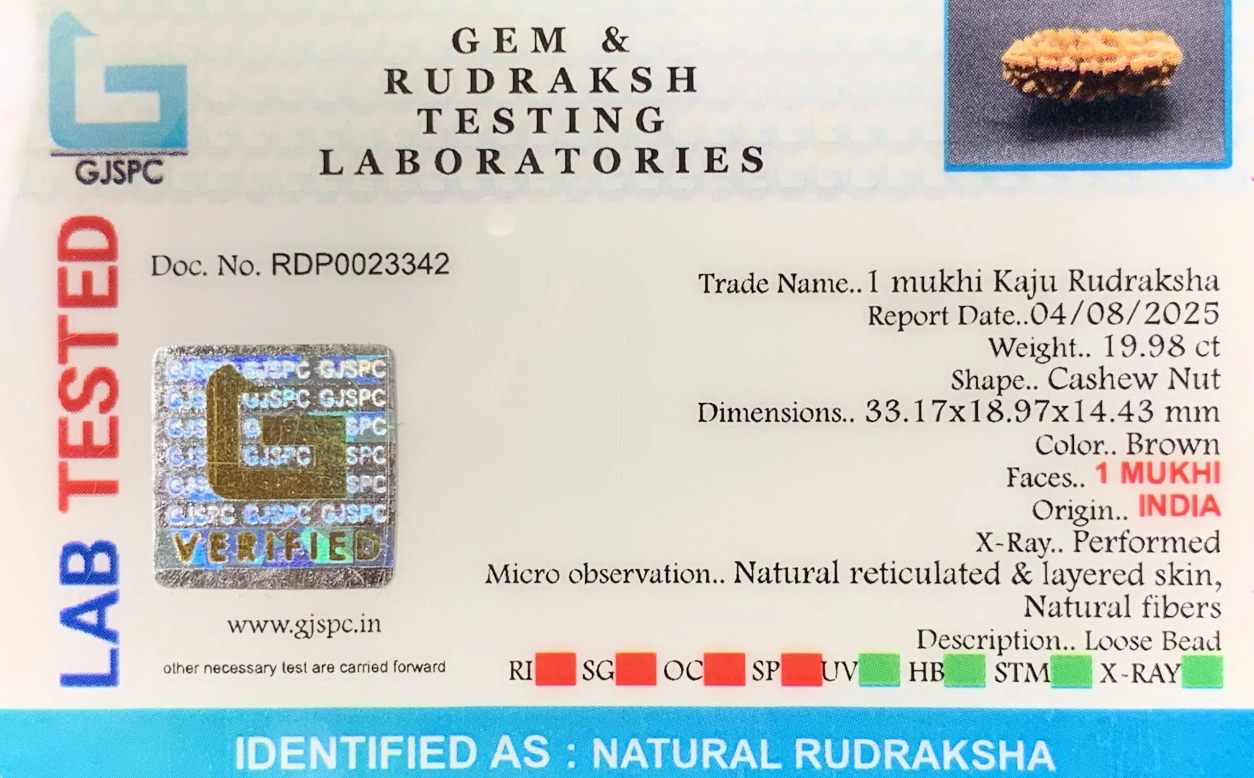 1 Mukhi Rudraksha (3.996g) view 2