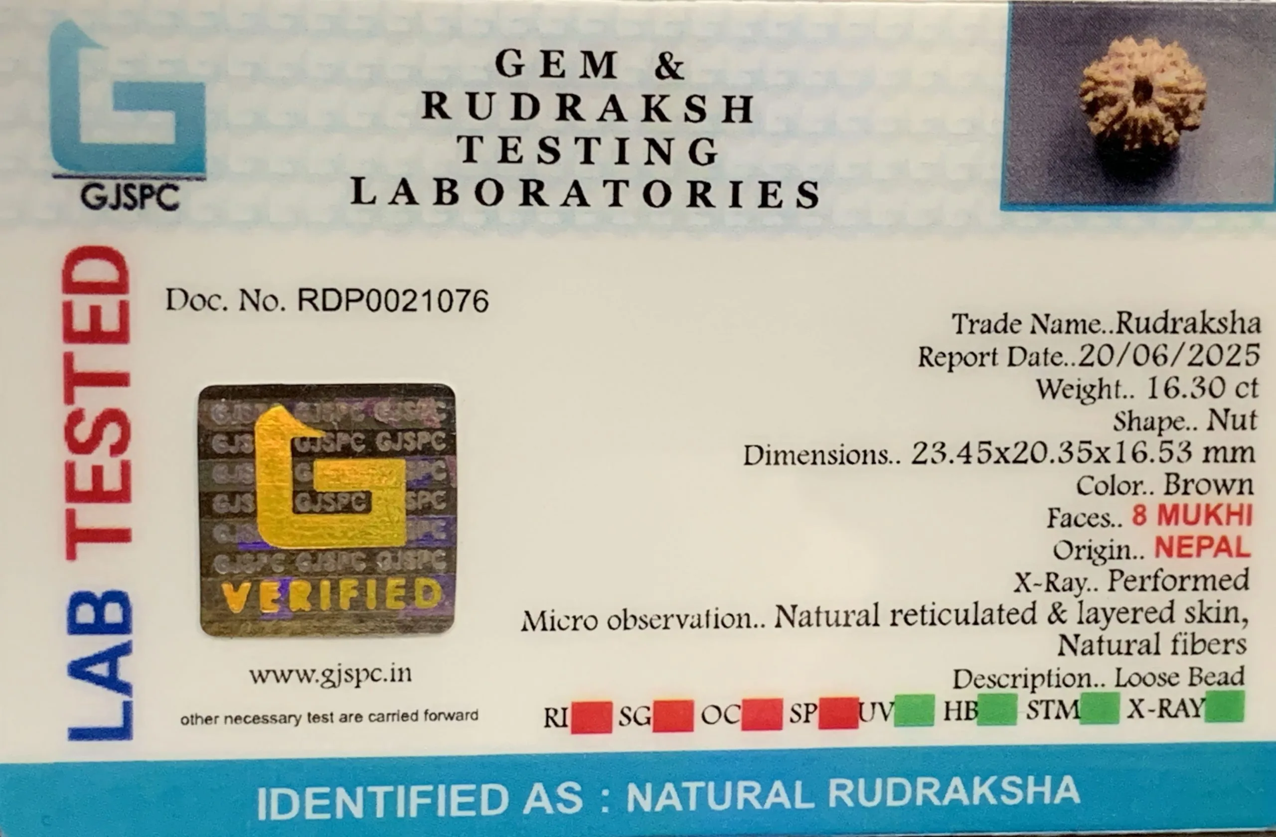 8 Mukhi Rudraksha (3.260mg) view 2