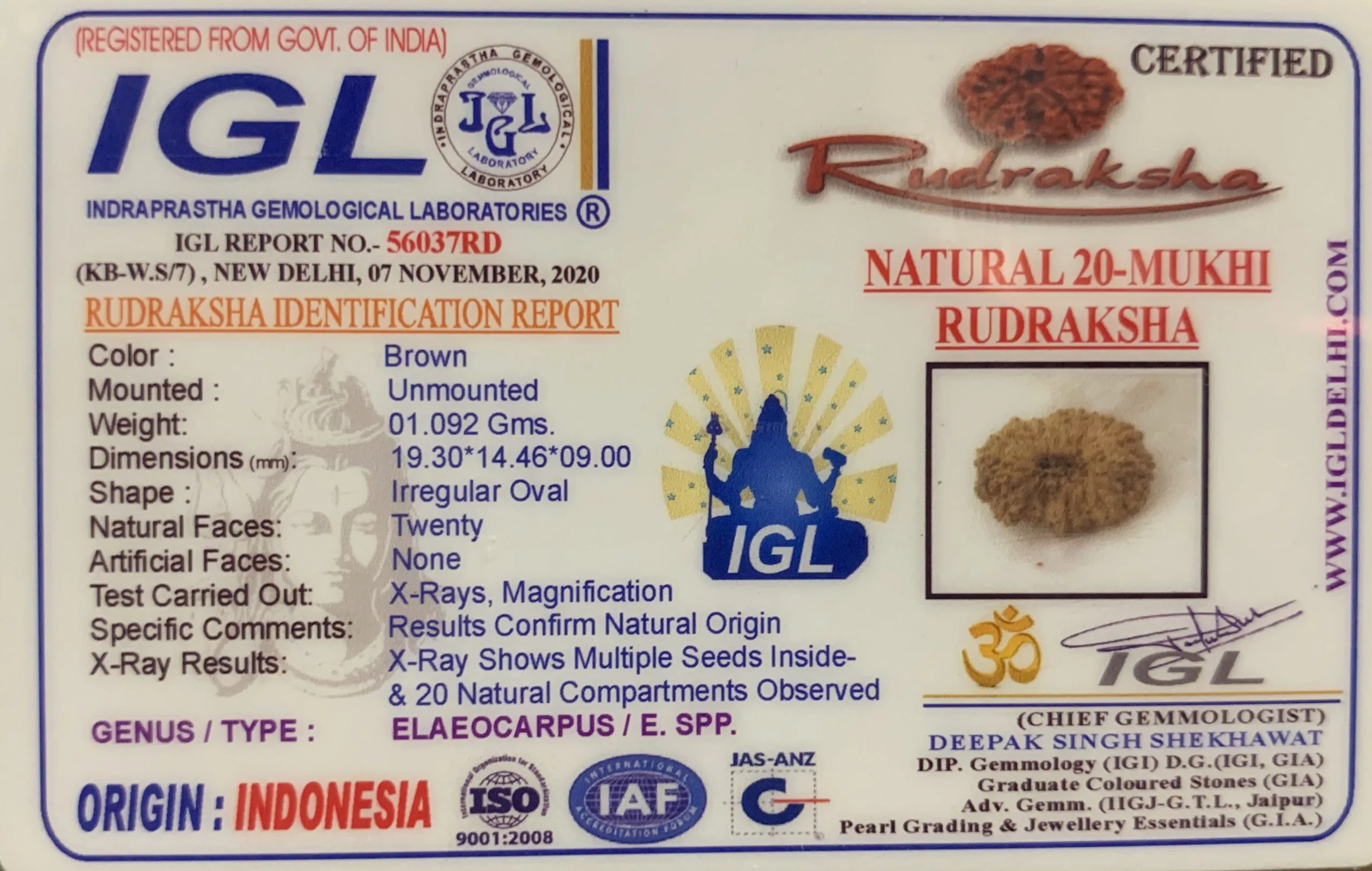 20 Mukhi Rudraksha (1.009mg) On Demand view 2