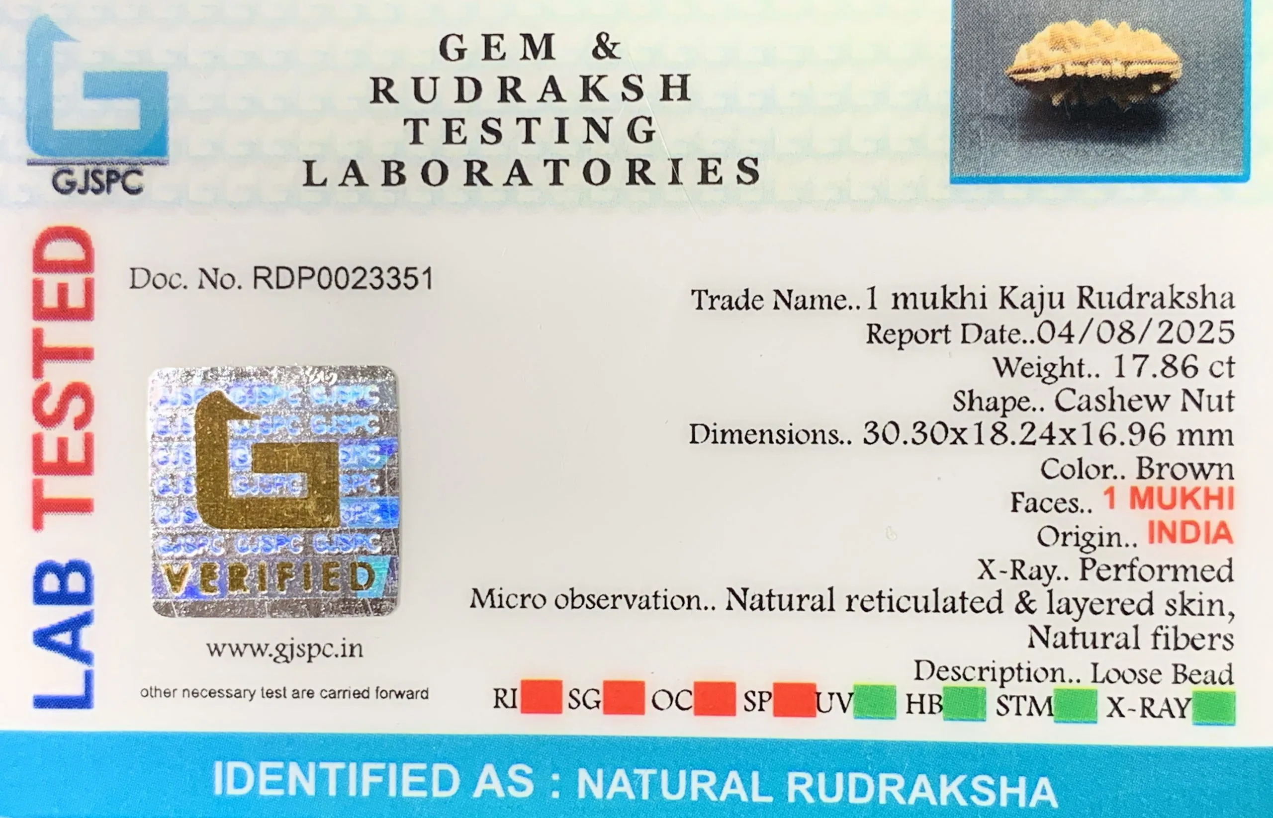 1 Mukhi Rudraksha (3.572g) view 2