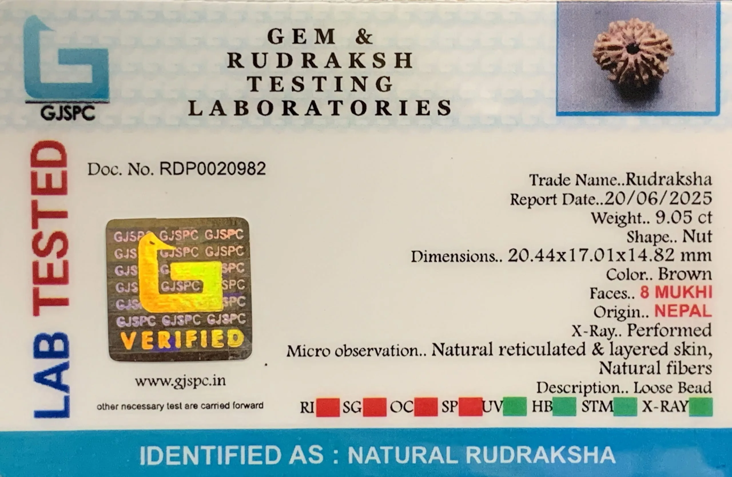 8 Mukhi Rudraksha (1.810mg) view 2