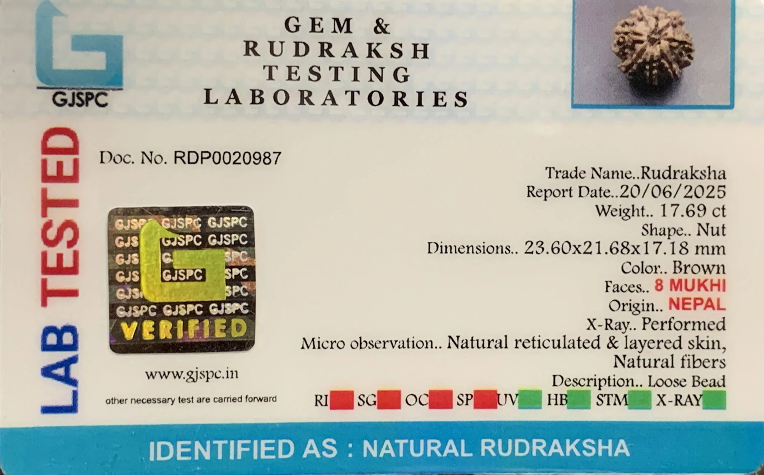 8 Mukhi Rudraksha (3.538mg) view 2
