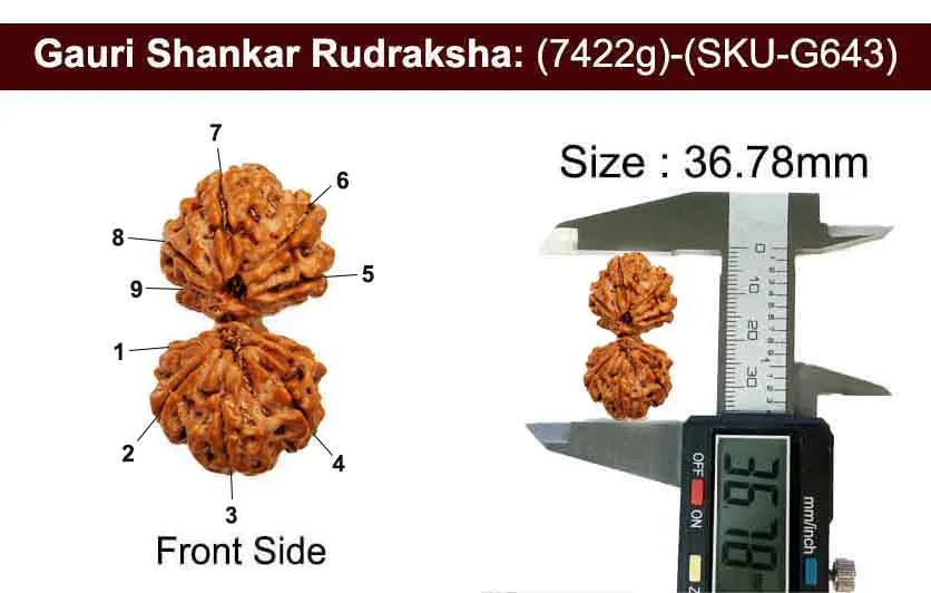 Gauri Shankar (7.422g) view 3
