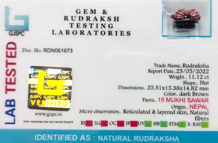 15 Mukhi Rudraksha (2.224g) view 2