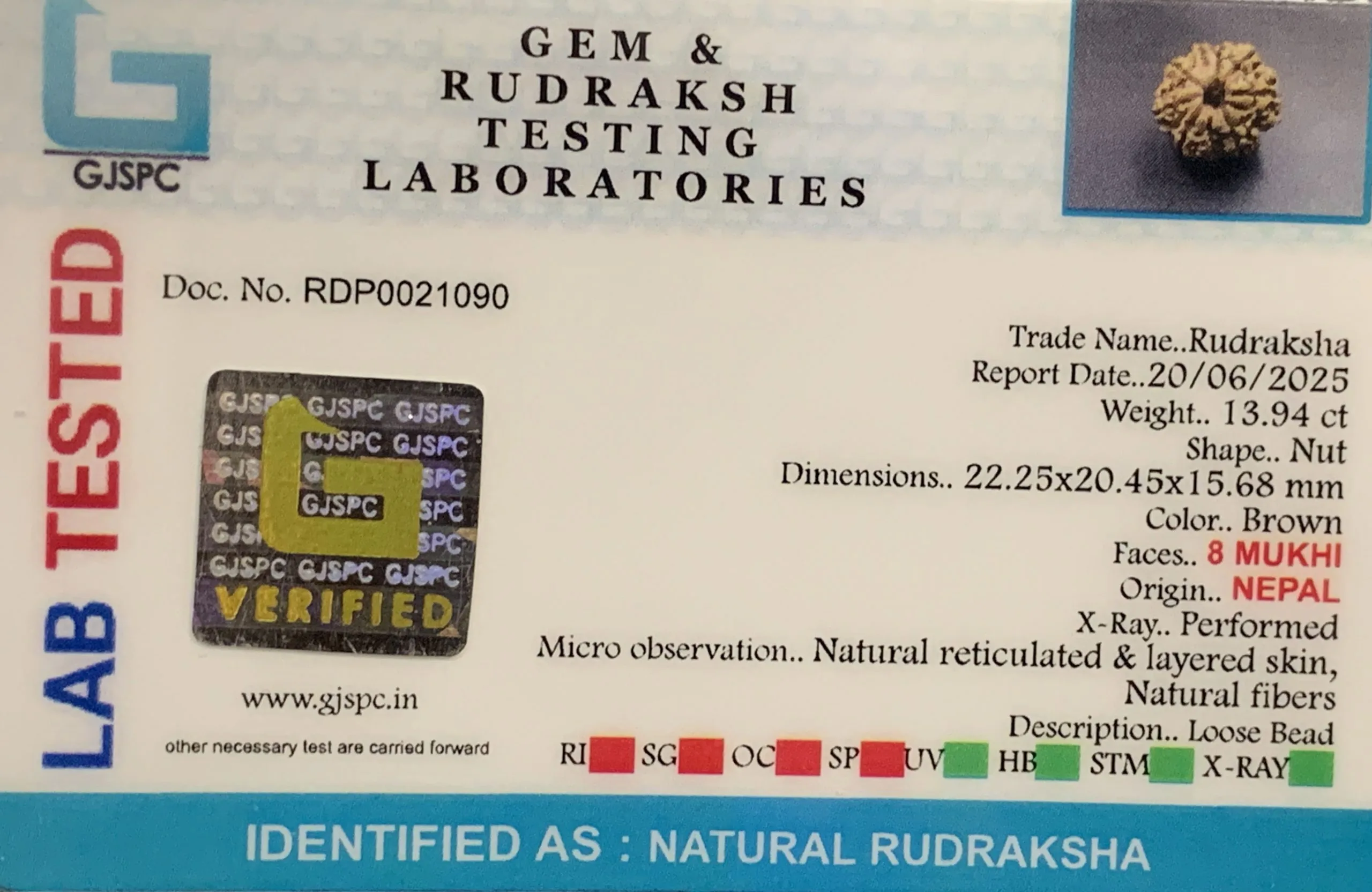 8 Mukhi Rudraksha (2.788mg) view 2