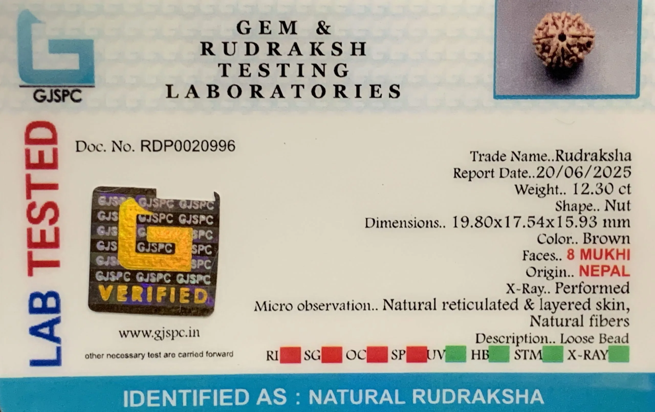 8 Mukhi Rudraksha (2.460mg) view 2