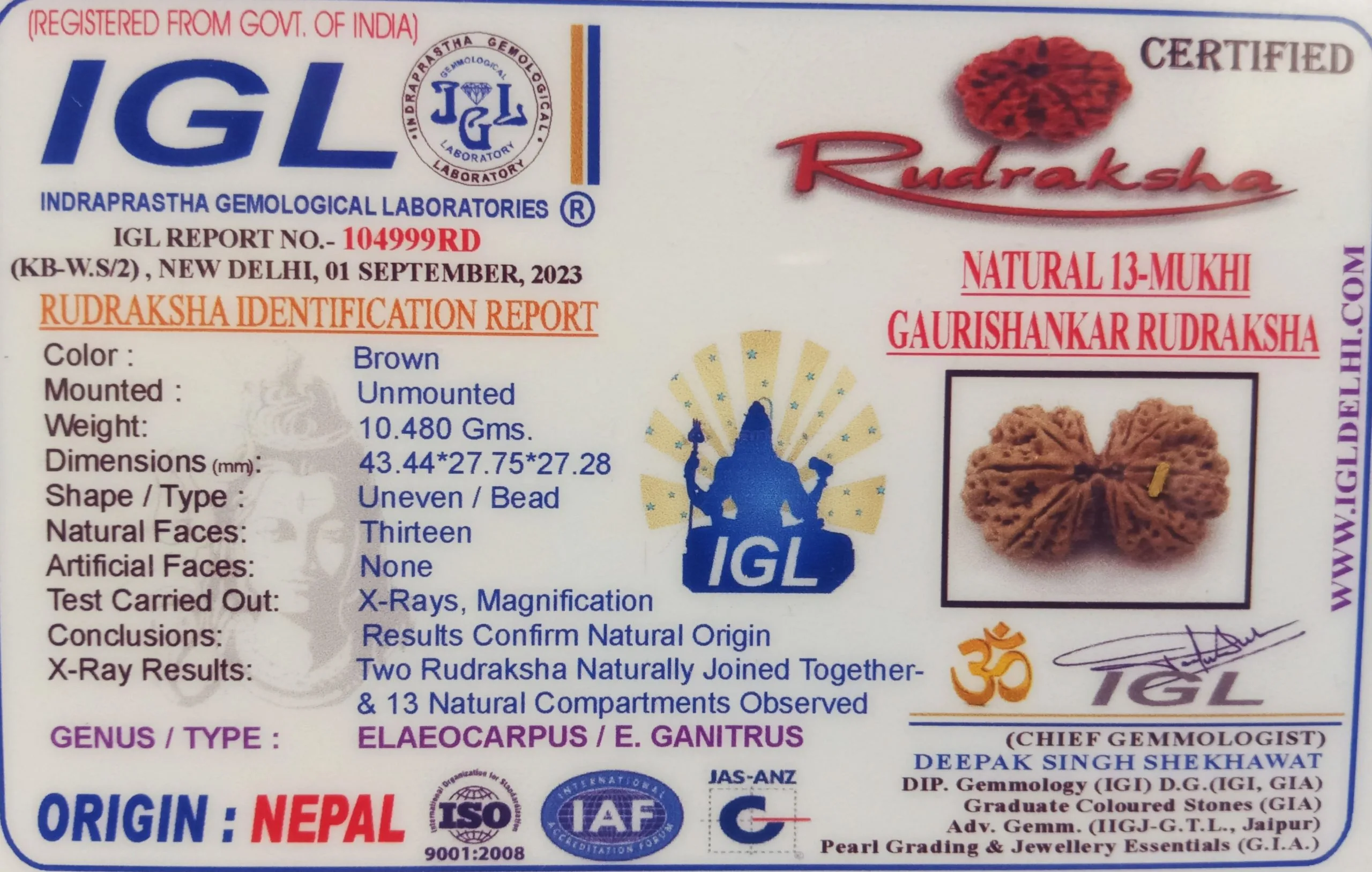 13 Mukhi Rudraksha (10.480g) On Demand view 2