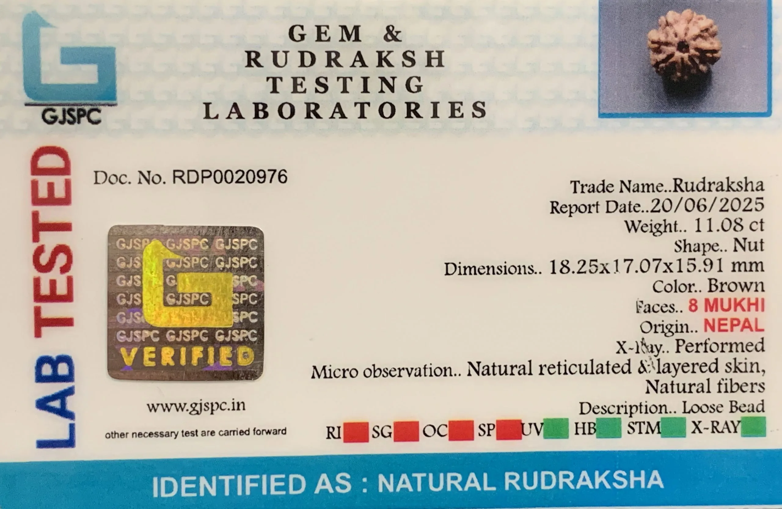 8 Mukhi Rudraksha (2.216mg) view 2