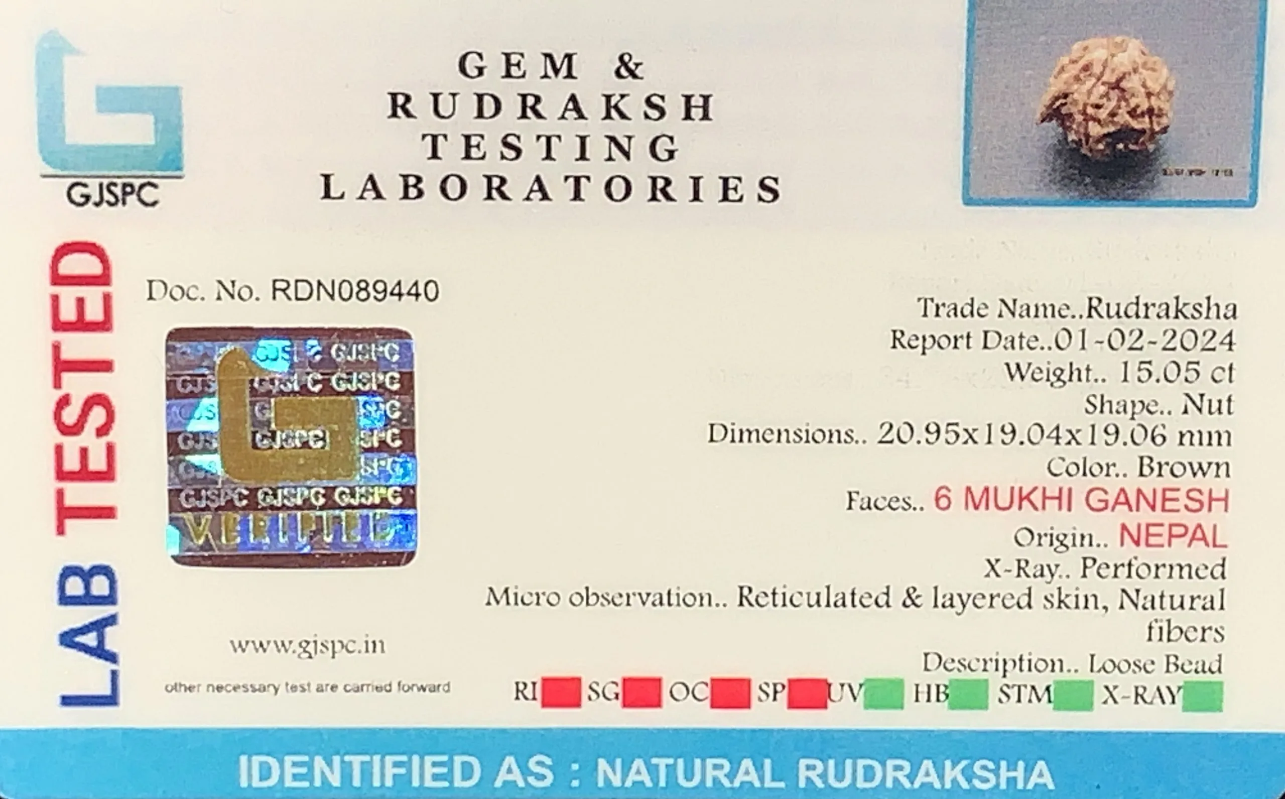 Ganesh Rudraksha (3.010g) view 2