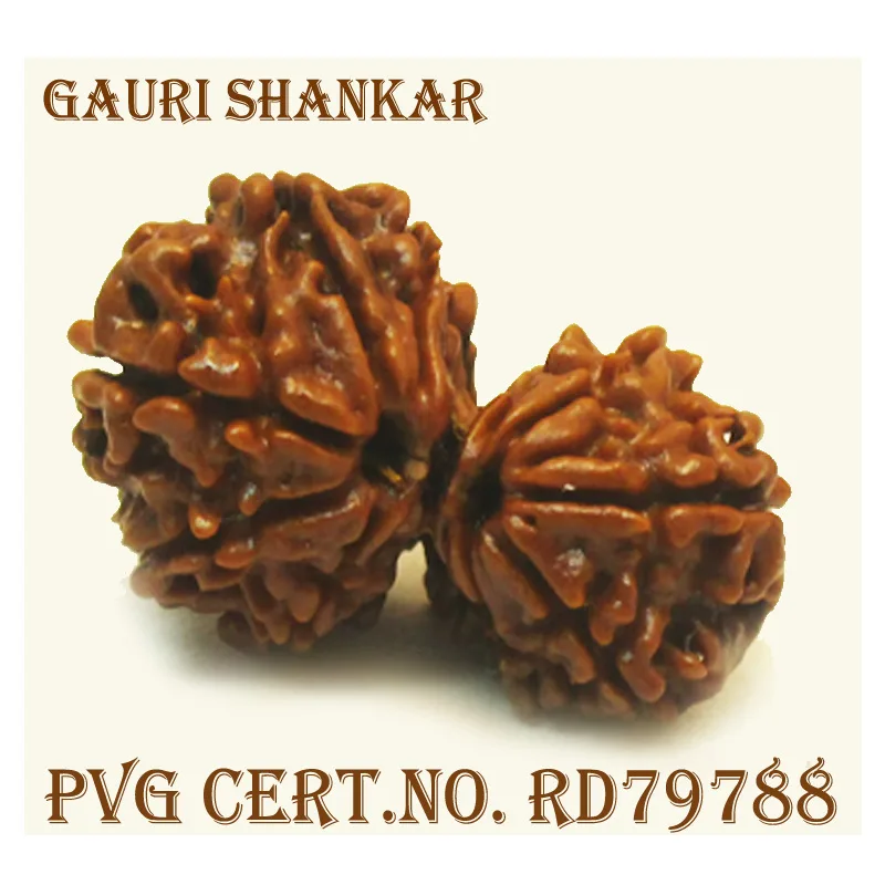 Gauri Shankar (3.846g)