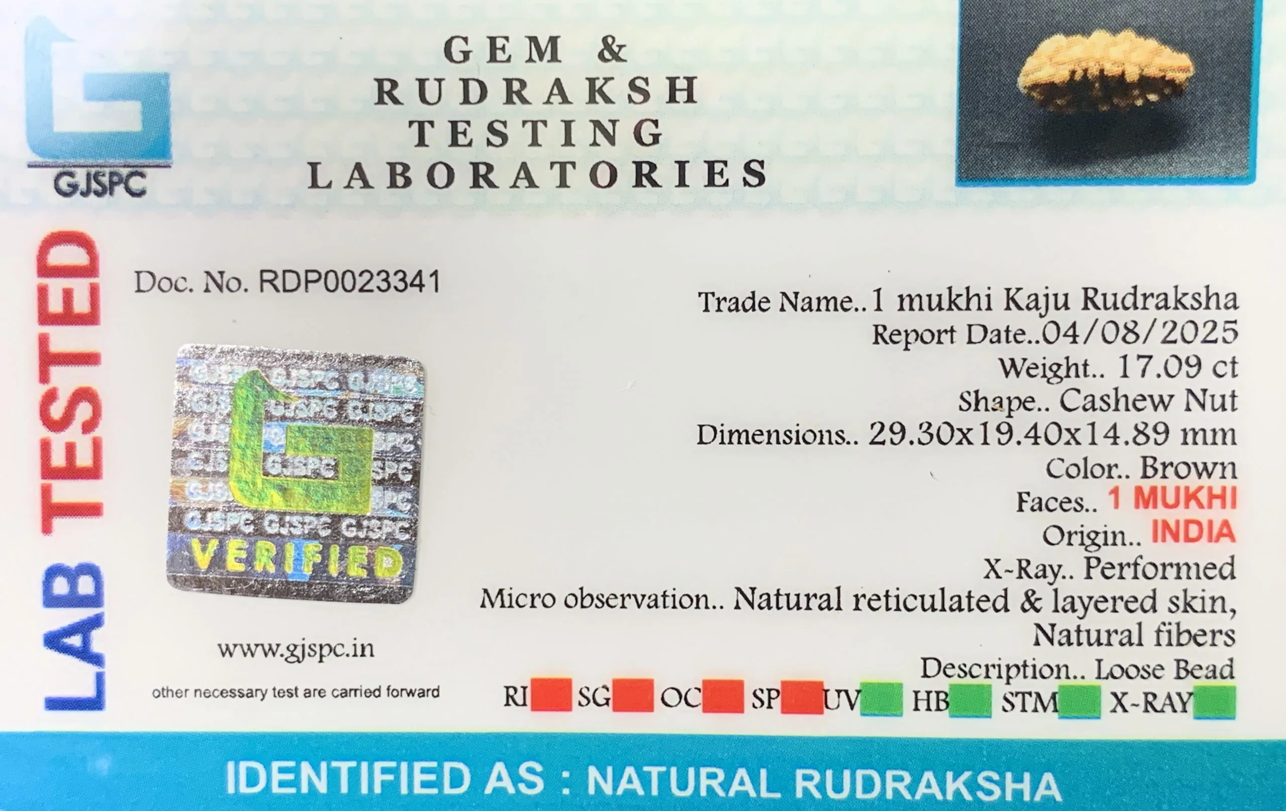 1 Mukhi Rudraksha (3.418g) view 2