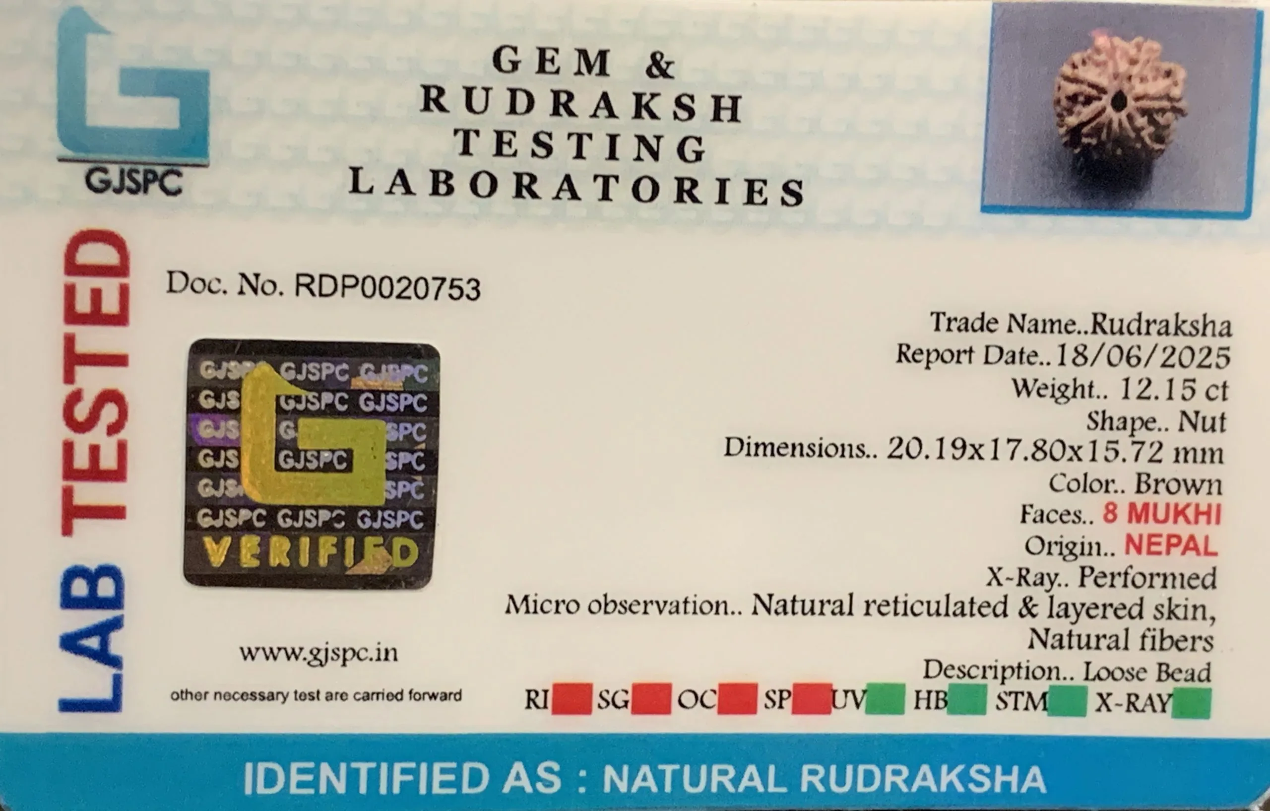 8 Mukhi Rudraksha (2.430mg) view 2