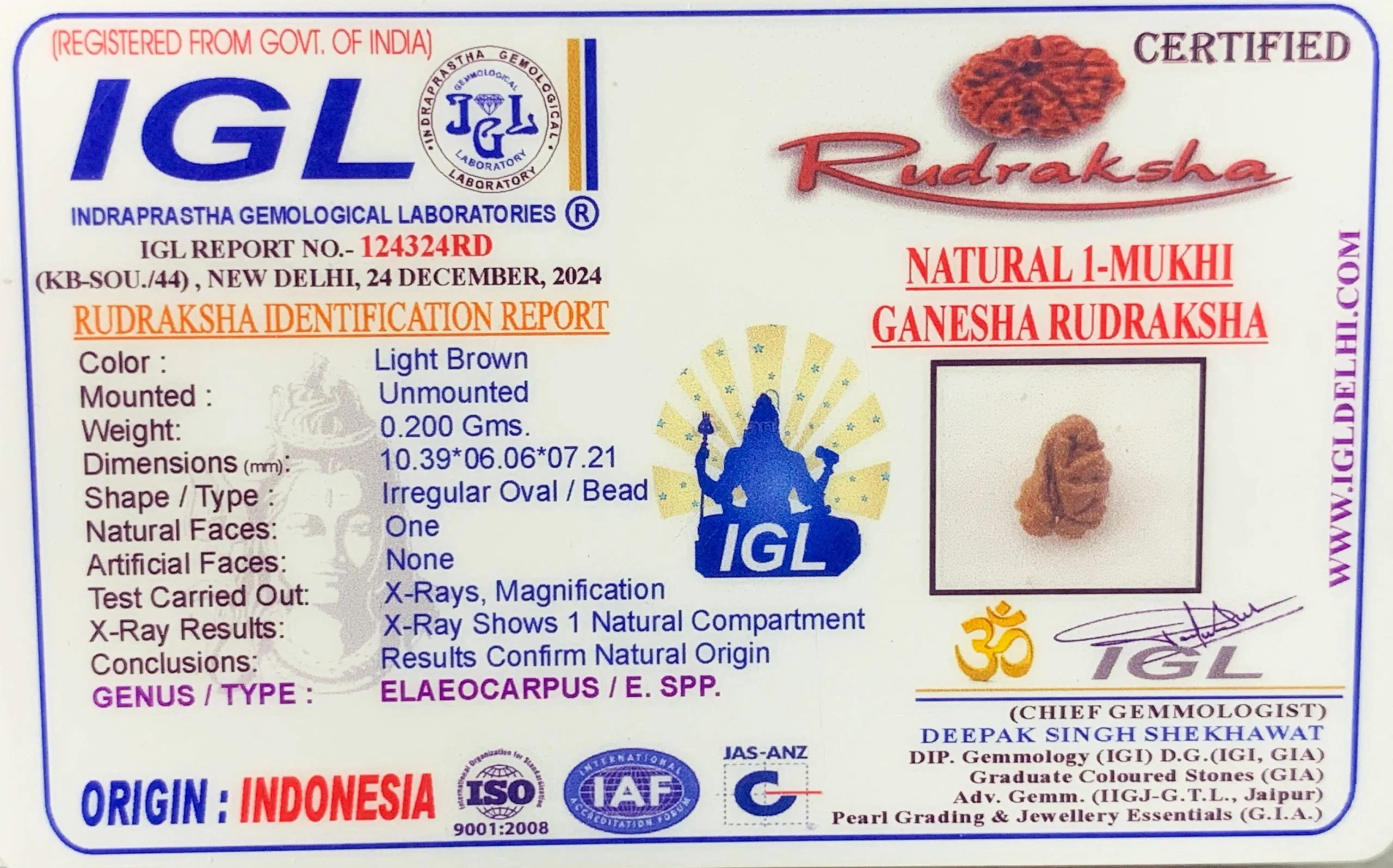 1 Mukhi Rudraksha (0.200g) view 2