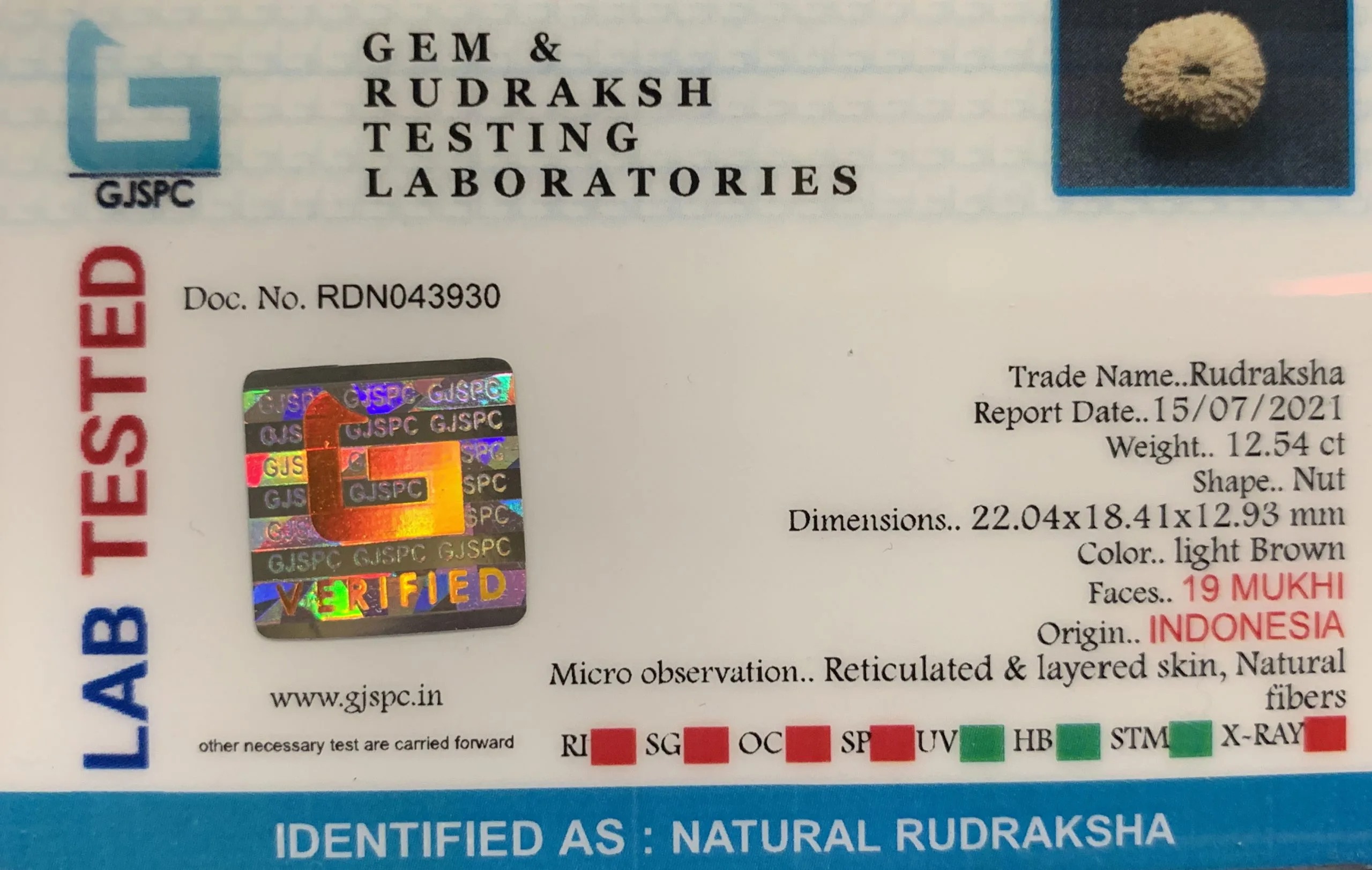 19 Mukhi Rudraksha (2.508mg) On Demand view 2