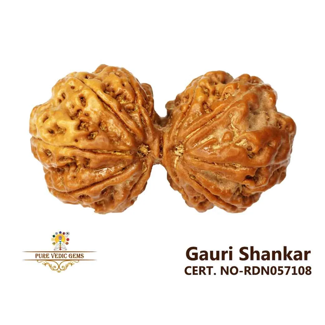 Gauri Shankar (7.808g)