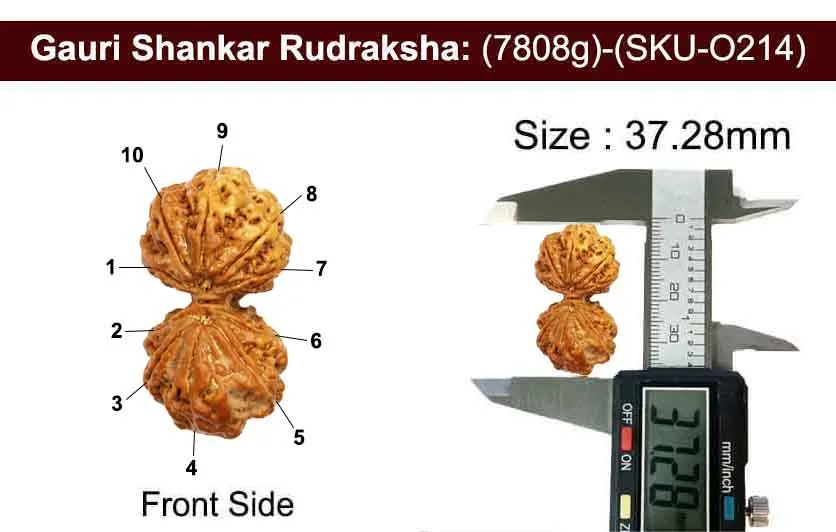 Gauri Shankar (7.808g) view 3