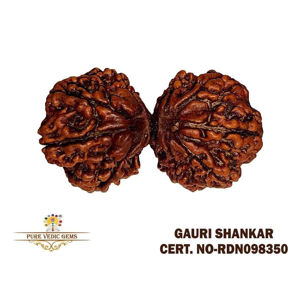 Gauri Shankar (6.080g)