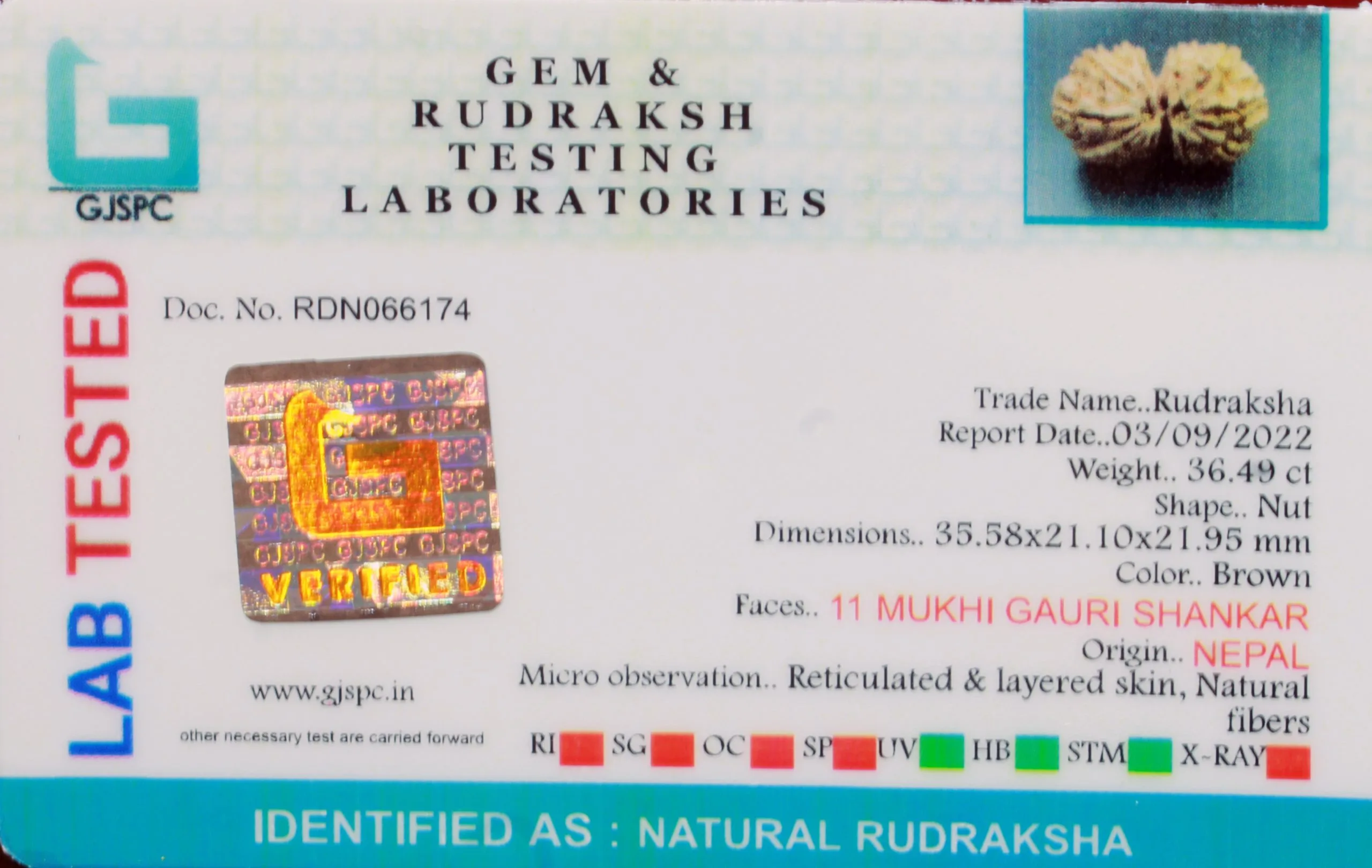 Gauri Shankar (7.298g) view 2
