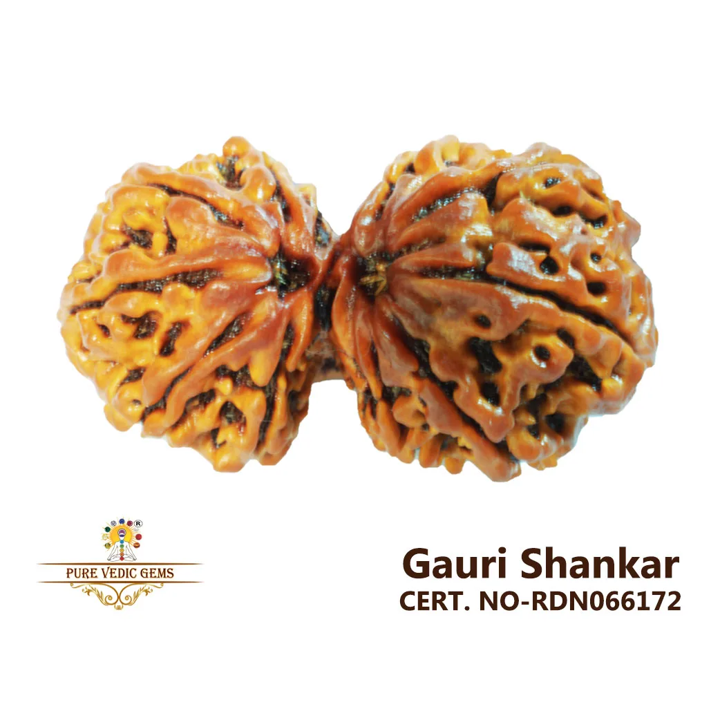 Gauri Shankar (6.264g)