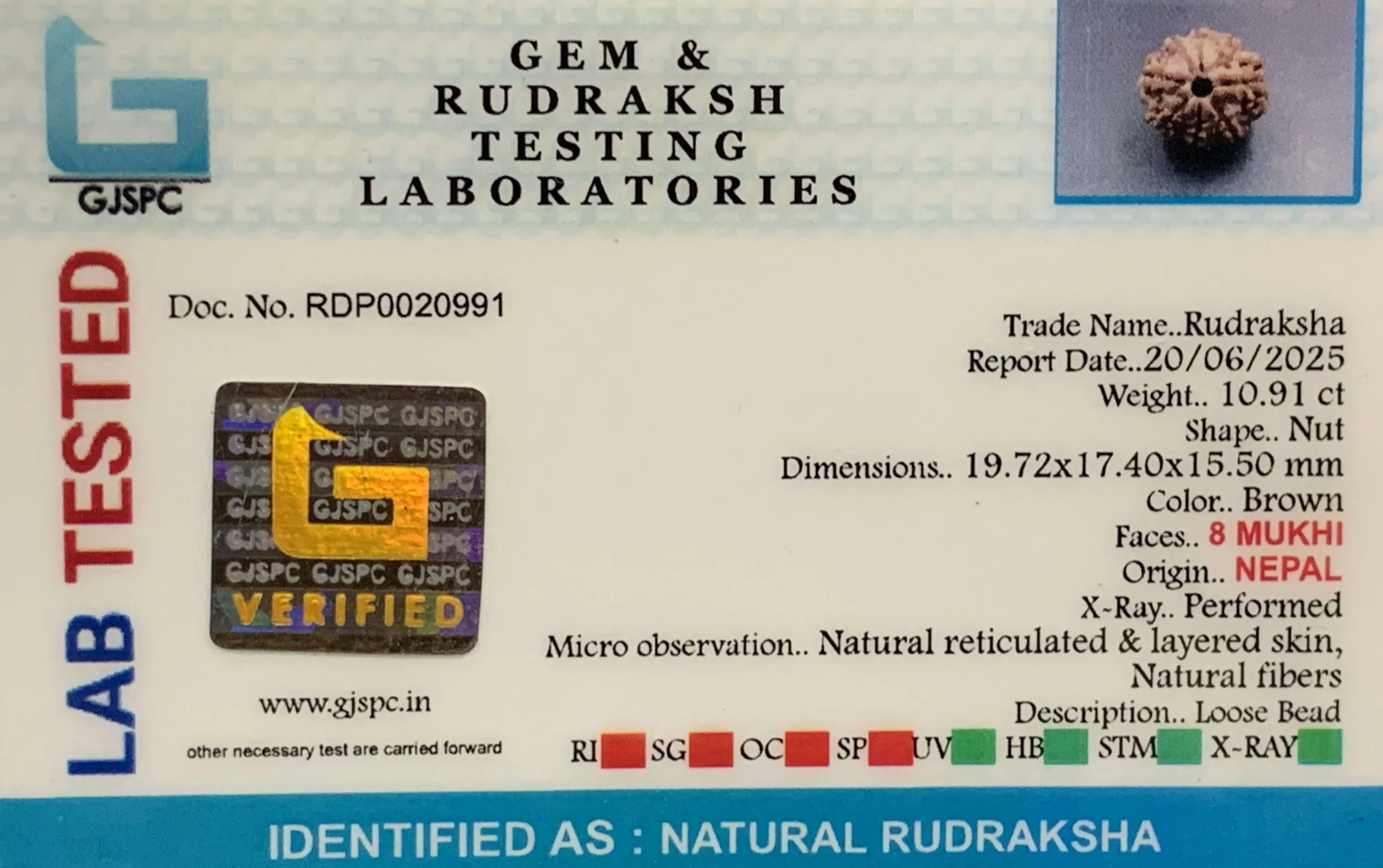 8 Mukhi Rudraksha (2.182mg) view 2