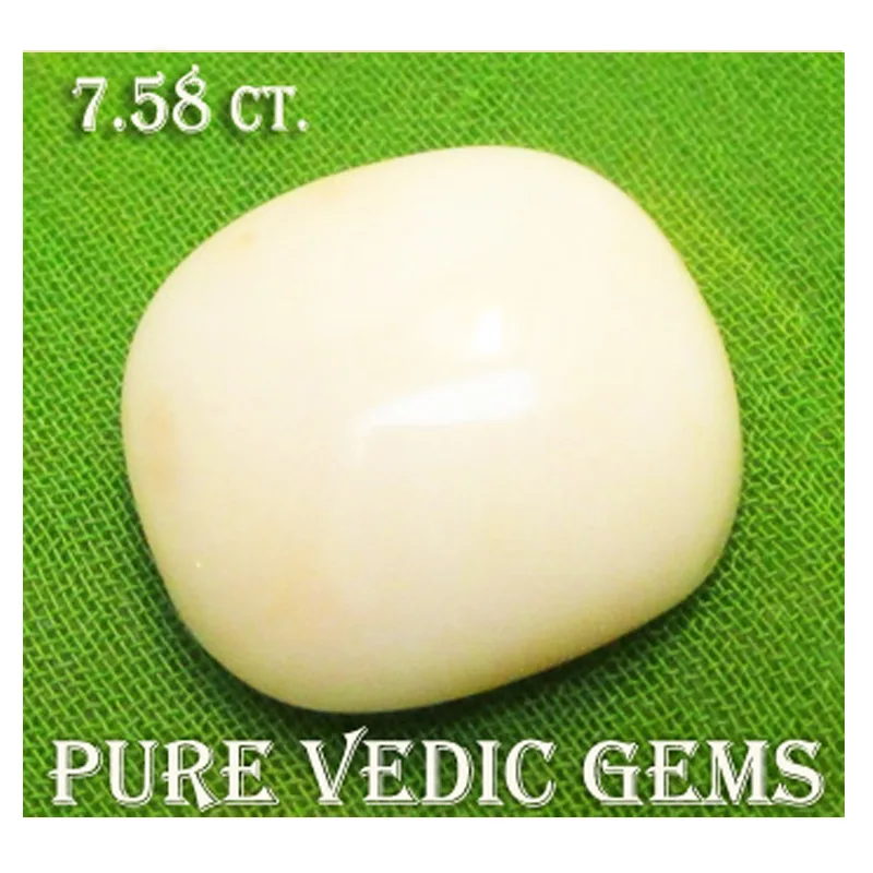 White Coral 7.58ct. — image 1