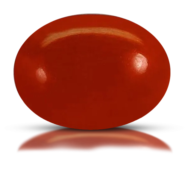 Red Coral