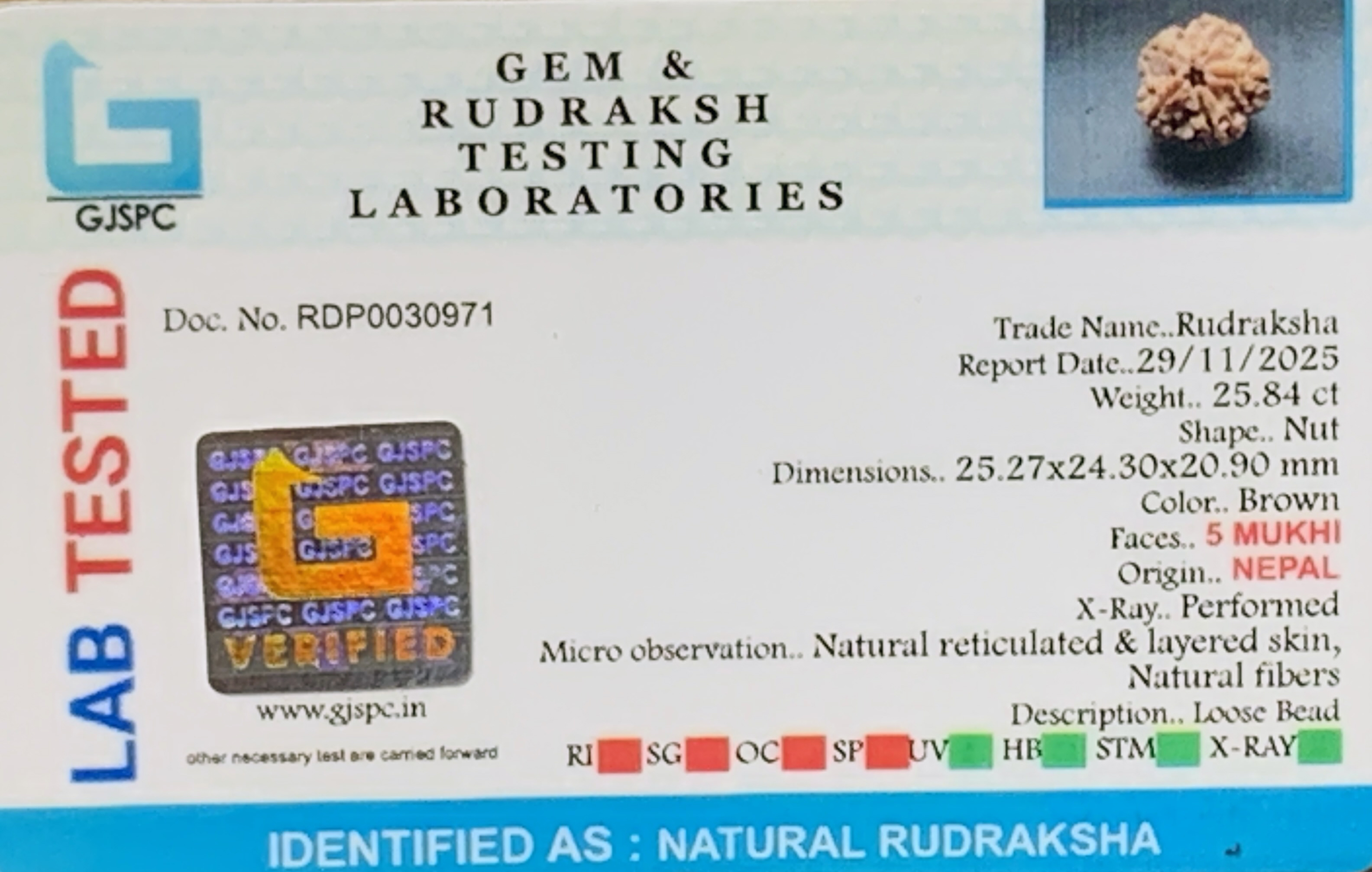 5 Mukhi Rudraksha (5.168gm) view 2
